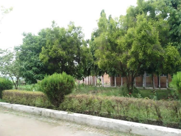 JNV Kaushambi